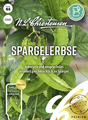 Spargelerbse Samen, Saatgut
