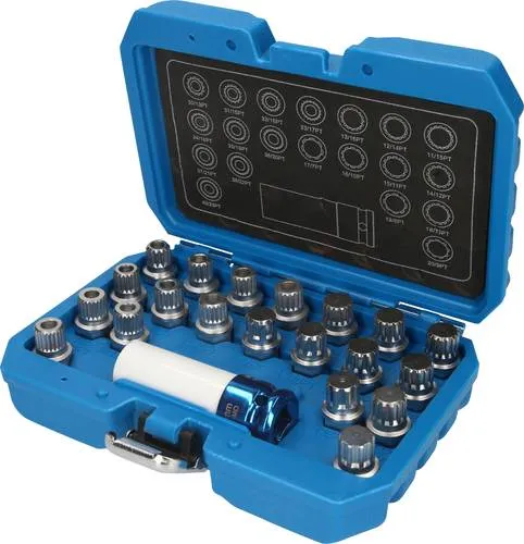 Brilliant Tools Felgenschloss-Sortiment für BMW, 21-tlg - Spezialwerkzeug für BMW, 21-teiliges Sortiment mit 20 Radmutter-Löseschlüsseln für beschädigungsfreies Öffnen von Felgenschlössern – ideal für Profis!