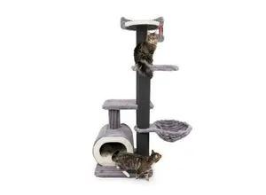 CanadianCat Company Kratzbaum Barrie, grau, 68 x 68 x 188 cm - Stabiler Kratzbaum für Katzen, 188 cm hoch, mit Sisal-Bespannten Kratzflächen und gemütlichen Liegeflächen – ideal für aktives Spielen und Entspannen.
