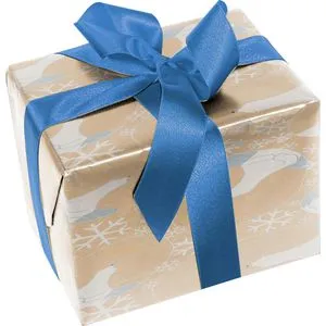 Sigel Geschenkpapier GP120, Polar bear with shooting star, braun / weiß, 50cm x 5m