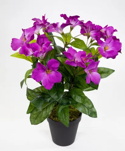 Kunstblume Hibiskus 40cm im Topf ZF Kunstpflanzen Blumen künstlicher Eibisch Hibiskus, Seidenblumen Roß, Höhe 40 cm, Dunkellila