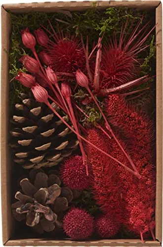 Othmar Decorations Trockenblüten Potpourri Set Red Getrocknete Pflanzen 100g Naturmaterial Winter Deko Blumen Duft Dekoartikel Raumduft Aromatherapie Geschenkidee