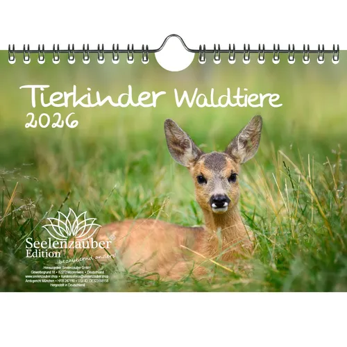 Tierkinder Waldtiere DIN A5 Kalender für 2026 Tiere im Wald - Seelenzauber