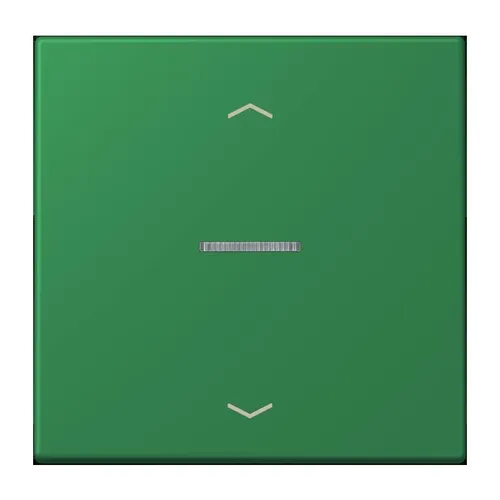 JUNG BTLC17101P219 HOME Taster in grün von Jung Taster intelligent