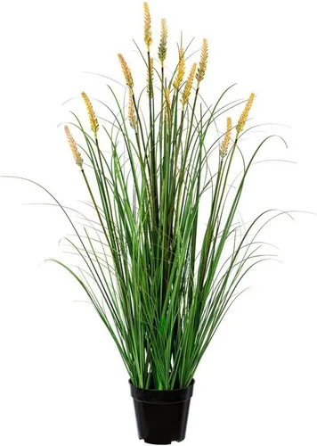 Kunstgras Grasbusch Pennisetum Gras, Creativ green, Höhe 95 cm