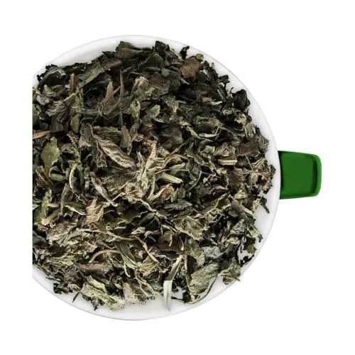 Bremer Gewürzhandel Brennesseltee, lose, leckerer Tee für entspannte Momente, 10 x 100g