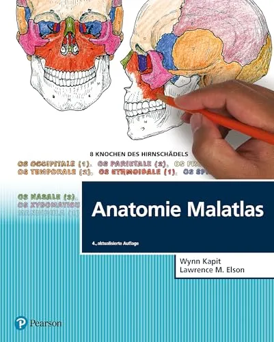 Anatomie Malatlas von Wynn Kapit und Lawrence M. Elson - Wissenschaftliches Fachbuch über Anatomie, ideal zum Lernen und Verstehen komplexer biologischer Zusammenhänge durch anschauliche Illustrationen.