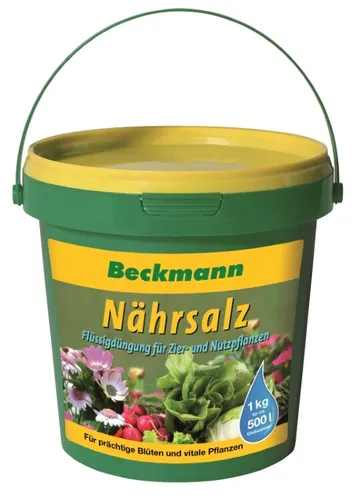 BIG Nährsalz Dünger für Nutz- und Zierpflanzen 1 kg