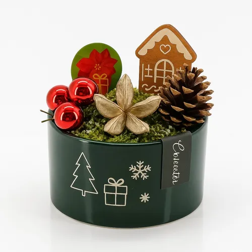 Amaryllis-Komposition | Grauer Keramiktopf Ø23 cm | Höhe ca. 25 cm