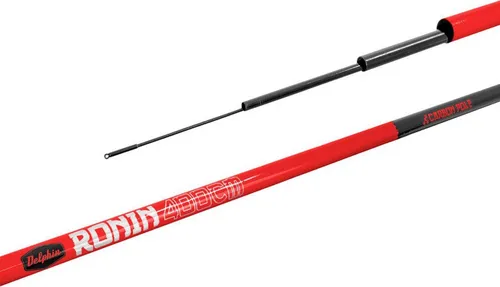 Delphin Angeln & Fischen von Delphin