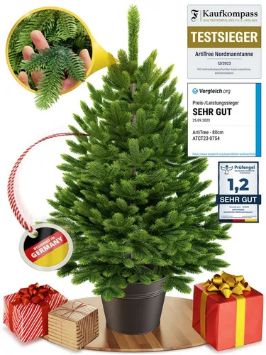 ArtiTree Künstlicher Weihnachtsbaum Premium Tanne im Topf - 40 cm Höhe - Künstliche Weihnachtsbäume, stilvoller Premium Weihnachtsbaum im Topf, perfekt für festliche Dekoration und platzsparend.