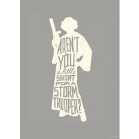 Wandbild STAR WARS SILHOUETTE QUOTES - 50x70 cm - Bilder & Drucke, stylisches Star Wars Wandbild mit inspirierenden Zitaten, perfekt für Fans und zur Verschönerung von Wohnräumen.