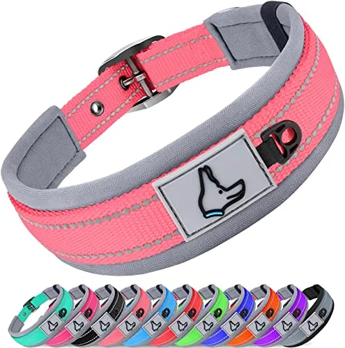 Joytale Halsband Hund, Weich Hundehalsband Gepolstert Neopren Hunde Halsband für Kleine Hunde, Nylon Reflektierend Breit Halsbänder, Pink