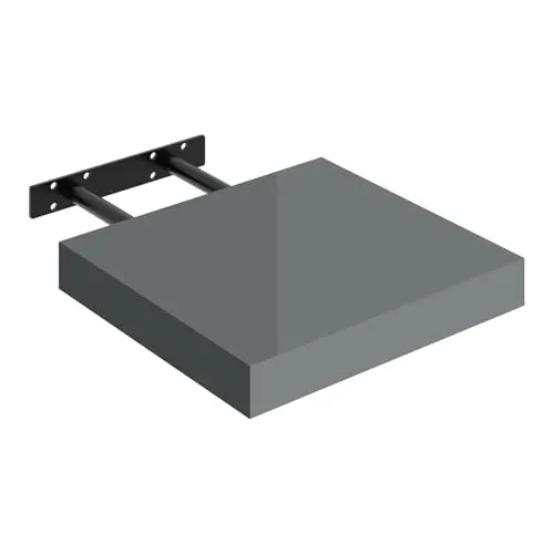 WOLTU Wandregal Regalbrett, freischwebend Schweberegal, CD DVD Wand Regal Wandboard 30x22,9x3,8cm, Hochglänzend Grau