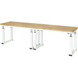 Rau Werkbank Serie adlatus 600 - Elektrisch höhenverstellbar für ergonomisches Arbeiten - Arbeitstisch mit 4 cm starker Buche-Massiv-Platte, ideal für ergonomisches Arbeiten dank elektrischer Höhenverstellung und stabiler Konstruktion.