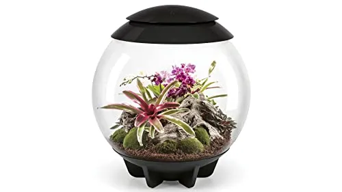 biOrb® Terrarium AIR 60, Schwarz in schwarz von biOrb
