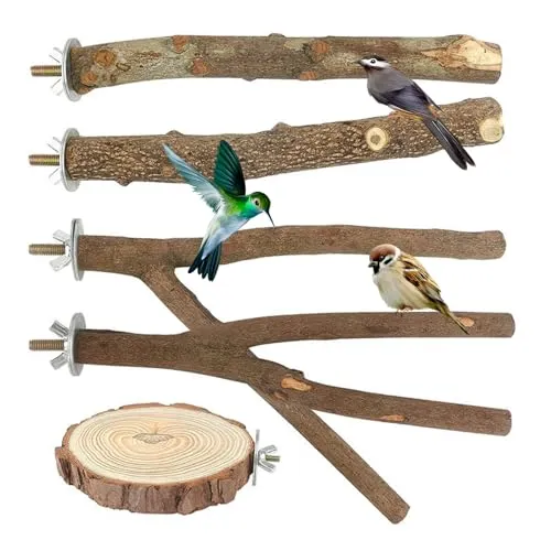 Natur Sitzstangen Set, 5 Stück Naturholz Vogel Sitzstangen Vogelständer Vogelkäfig Zubehör Vogelzubehör Vogelspielplatz für Vögel Wellensittich Nymphensittich Kanarienvogel