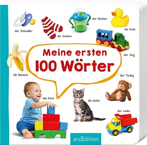 Meine ersten 100 Wörter: Foto-Wörterbuch