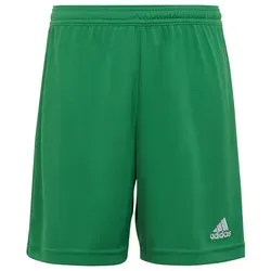 Shorts Grün von adidas