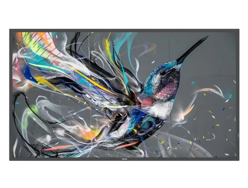 Philips 50BDL3550Q Signage Display 125,7 cm 49,5 Zoll 50BDL3550Q/00