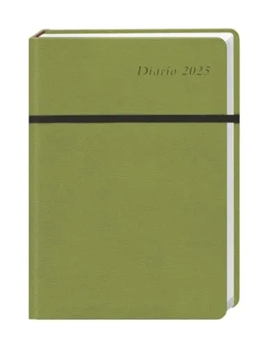 Diario Wochen-Kalenderbuch A6, grün 2025: Grüner Terminplaner 2025. Buch-Kalender mit Lesebändchen und Gummiband. Taschenkalender zum Planen von Terminen. (Kalenderbücher Heye)