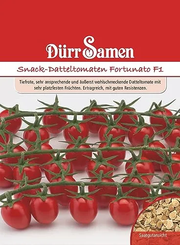 Produktbild Datteltomaten Samen Rote Snack Tomate Fortunato Tomatensamen ca 6 Korn Ertragreich Saatgut Garten Hochbeet Kübel Dürr Samen