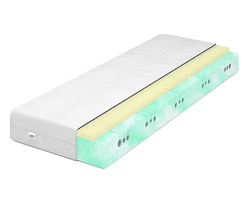 IZER Activ Viscoschaum Kaltschaummatratze Memory Härtegrad 2in1 H3 H2 90x190 Orthopädische Atmungsaktive Matratze 7-Zonen Matratzenbezug mit Reißverschluss
