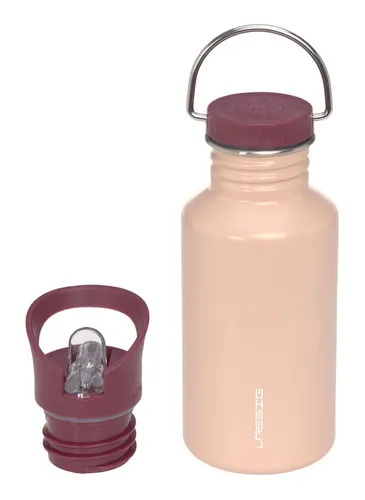 Lässig Bottle Stainless Steel Trinkflasche Rose altrosa
