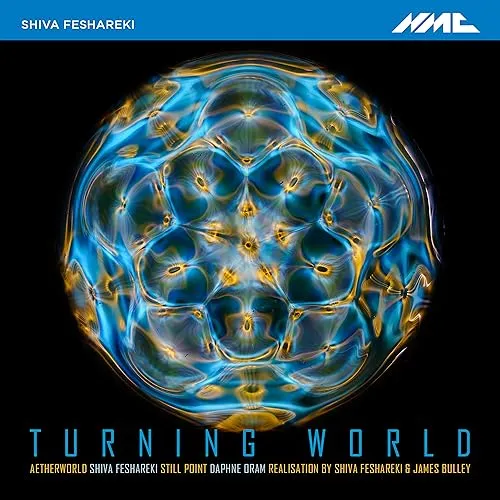 Turning World