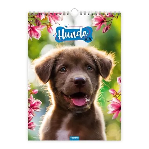TRÖTSCH - Classickalender Hunde 2026: Wandkalender für Hundefans - Alben: Hochwertiger Wandkalender mit bezaubernden Hundefotos für jeden Monat, ideal zur Verschönerung Ihres Zuhauses.