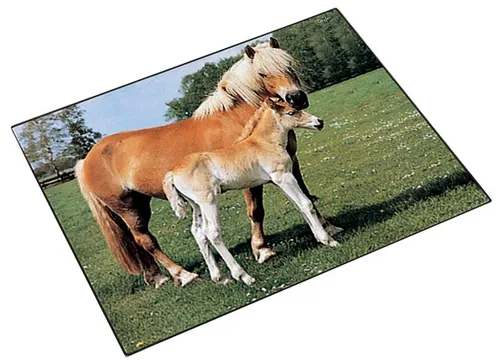 Läufer Schreibunterlage Pferd und Fohlen 400 x 530 mm von Läufer