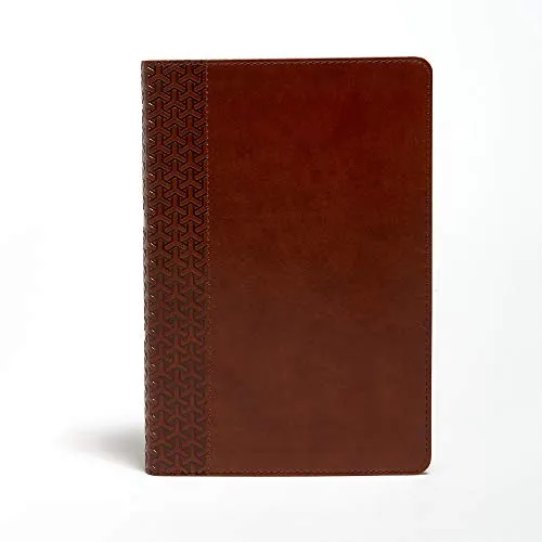 KJV Everyday Study Bible, British Tan LeatherTouch: King James Version, British Tan Leathertouch