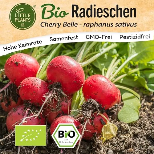 Little Plants BIO Radieschen Samen 200 Radieschensamen Cherry Belle Gemüsesamen für Gemüsegarten Samenfest Gemüse Samen für Küche, Balkon und Garten