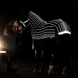 Horseware Amigo 1200D FieldSafe Reflectech Plus Turnout 0g, 140 – Sicherheitsdecke für Pferde - Optimale Sichtbarkeit und Sicherheit für dein Pferd! Diese 1200D Decke bietet reflektierende Elemente, einen innovativen Brustverschluss und Sicherheitsgurte. Ideal für den ganzjährigen Einsatz im Reitsport.