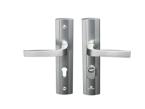 Bricard 9910171 Türgriffe, gepanzert, auf Platte Express, Ständer + Ständer für Eingangstür, für europäische Zylinder), Farbe: Silber
