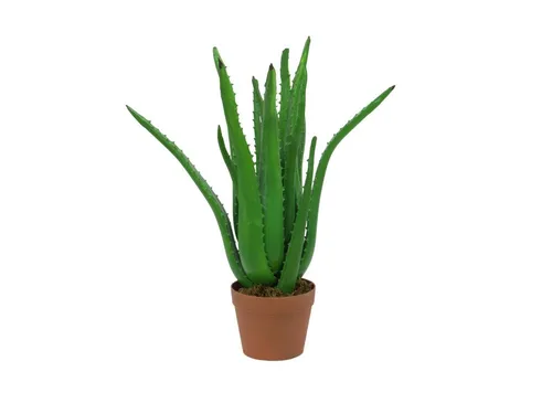 Kunstpflanze Aloe Vera Deko 65 cm - Lebensnahe Indoor-Pflanze - Diese realistisch aussehende Kunstpflanze Aloe Vera mit 16 Blättern ist perfekt für die Innendekoration. Sie bringt ein frisches Ambiente in Ihr Zuhause, ganz ohne Pflegeaufwand.