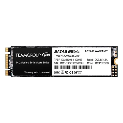 Team Group MS30 256GB M.2 SSD