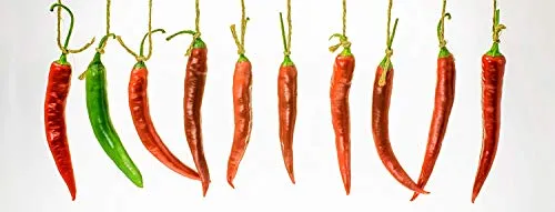 levandeo Glasbild 30x80cm Wandbild Glas Chili Küchendeko Chilischote Rot Grün Wanddeko Küche Gewürze