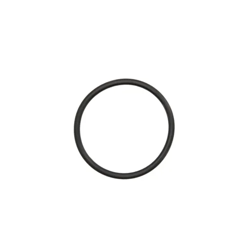 Elring Dichtring, Thermostatgehäuse 007.920