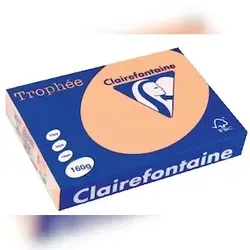 Drucker- & Kopierpapier Beige von Clairefontaine