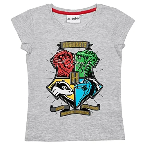 Harry Potter T-Shirt Jungen Mädchen Hogwarts Gryffindor (Grau, 128)