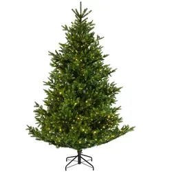 Kaemingk Everlands Nordmann Tanne LED