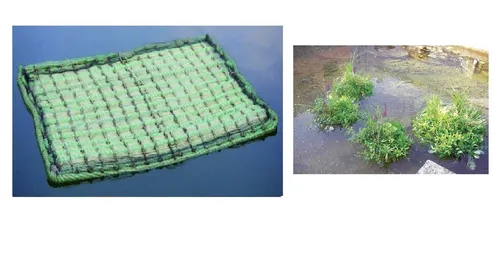 Aquaforte schwimmende Pflanzinsel 121 x 85 cm - Blumenkellen - Verbessern Sie die Wasserqualität in Ihrem Teich und schaffen Sie Lebensraum für Pflanzen und Tiere mit dieser großzügigen schwimmenden Pflanzeninsel.