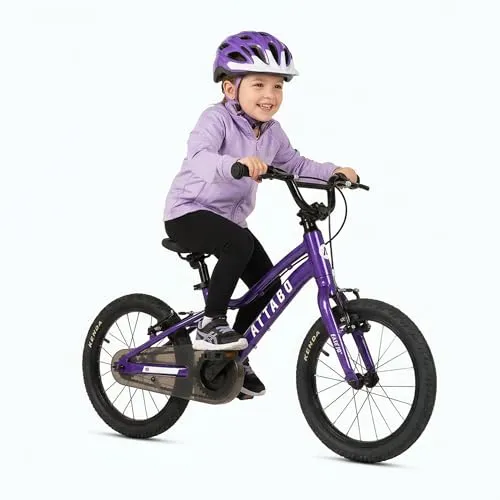 ATTABO Fahrrad Ease 16