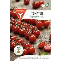 FRANKONIA Cocktailtomate Supersweet 100 F1
