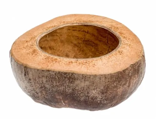 NaDeco Kokosschale halbiert im Querschnitt, Größe 18x10cm | Deko Kokosnuss halbiert | Kokosnussschale | halbierte Kokosnuss | Kokosbecher | Vogelspielzeug | Aquarium-Deko | Natürlicher Blumentopf