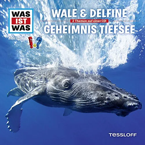 Folge 13: Wale & Delfine / Geheimnis Tiefsee