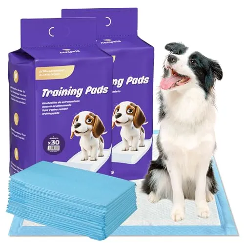 Nanipets® Trainingspad für Hunde Welpenunterlagen, Superabsorbierendes & Auslaufsichere Wickelunterlagen, 60 x 60 cm Extra Große, Dicke Pet Pads, 60 Stück