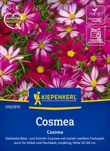 Kiepenkerl Blumensamen Cosmos Cosimo für ca. 30 Pflanzen in pink von Kiepenkerl