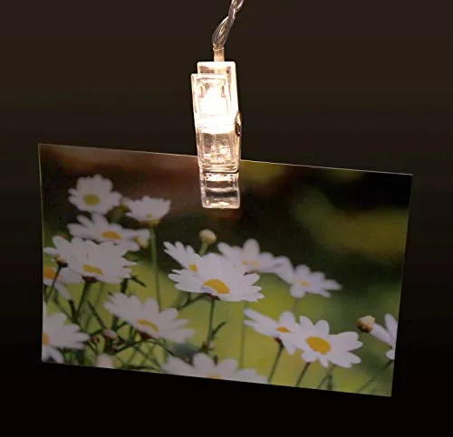 McShine - LED Lichterketten | mit 50 Clips, warmweiß, transparent, Batteriebetrieb | ideal als leuchtende Bilderhalterung/Bilderrahmen